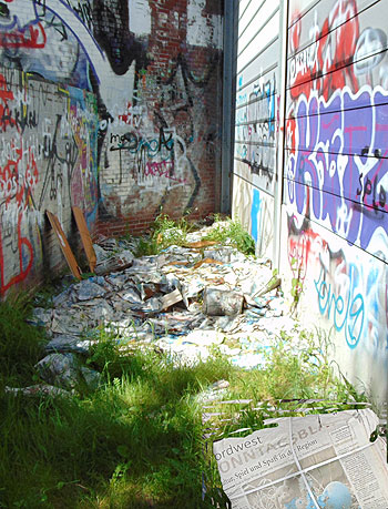 M�ll am Ende des ehemaligen Durchwegs. Foto: Dieter Niebisch